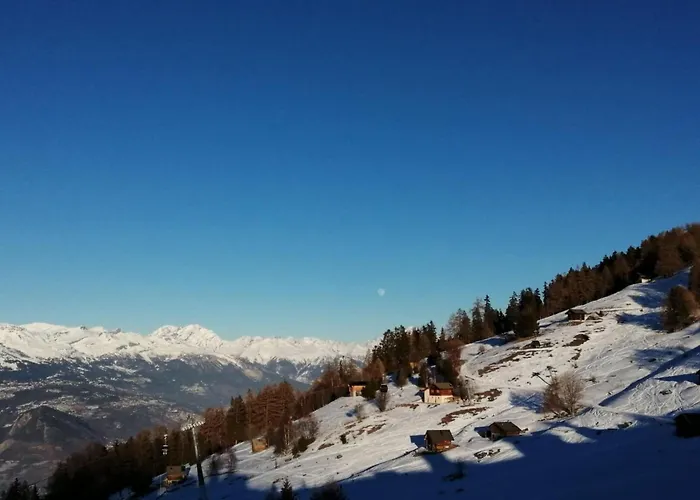 Centrally-located In 维松纳